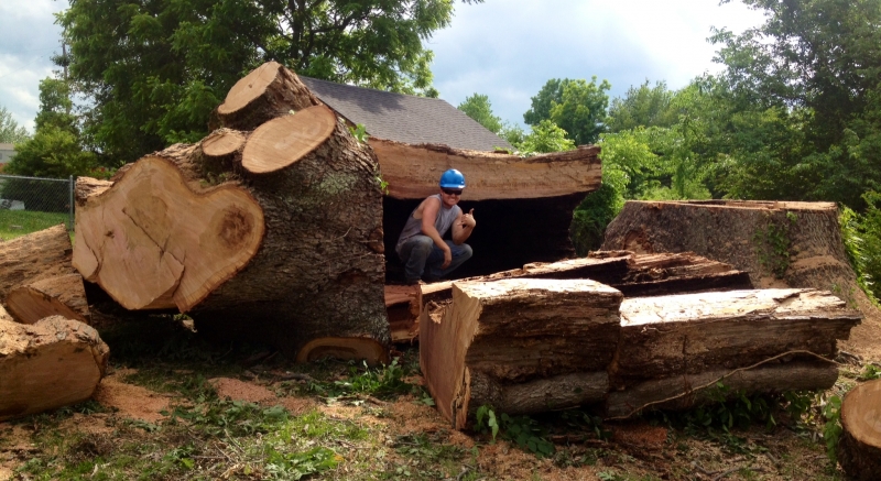 Lains Tree Services - Offering Professional Tree Service Since the 1950's_6