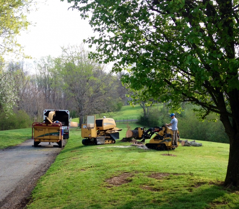 Lains Tree Services - Offering Professional Tree Service Since the 1950's_8
