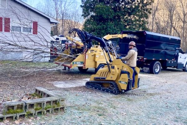 Dangerous fallen tree branch in residential neighborhood caused by storm