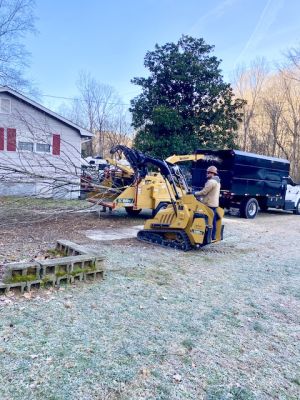 Removing branches with machine