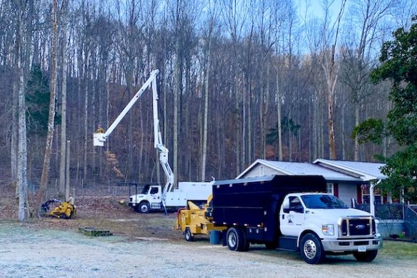 Truck in crane, doing tree work
