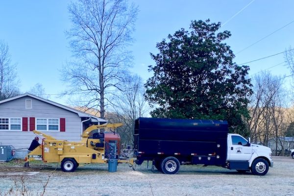 Lot clearing with yellow machinery.